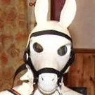 Avatar von Crazy Pony